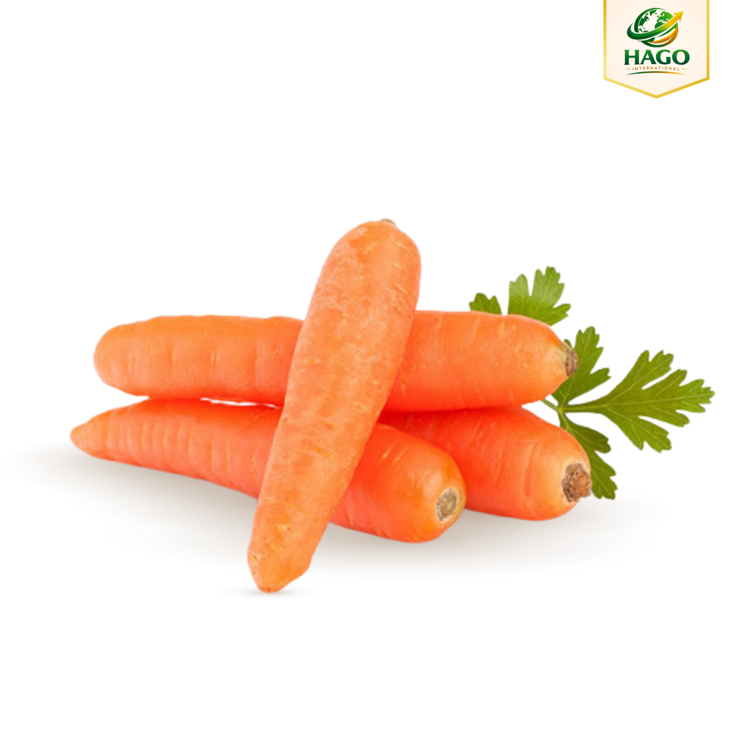 Cà rốt xuất khẩu